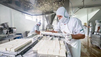 Versicherungen für Produktionsbetriebe: Produktionsfirma Versicherungen für Produktionsbetriebe: Produktionsfirma