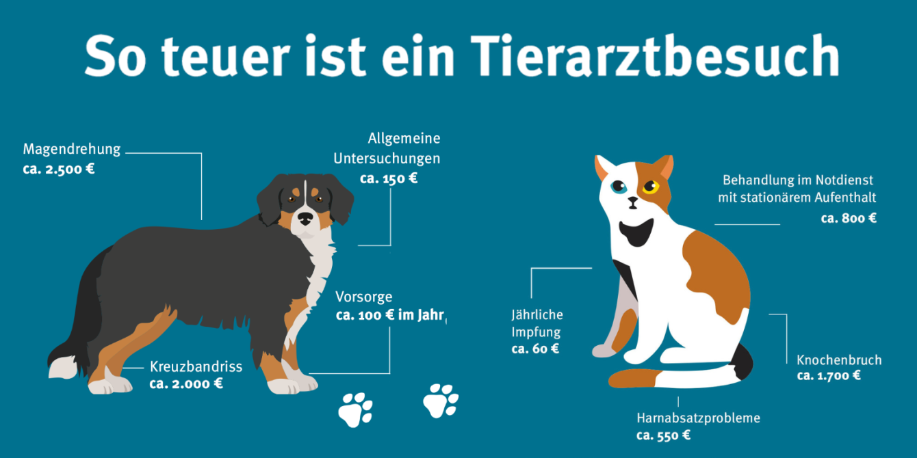 Mit der Gothaer Tierkrankenversicherung vermeiden Sie hohe Tierarztkosten. 