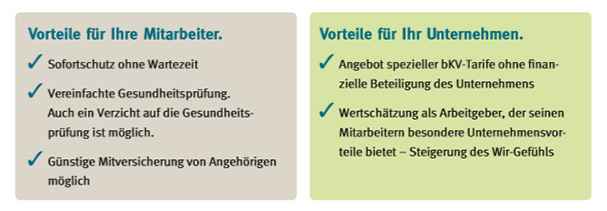 Schaubild der arbeitnehmerfinanzierten Krankenversicherung.