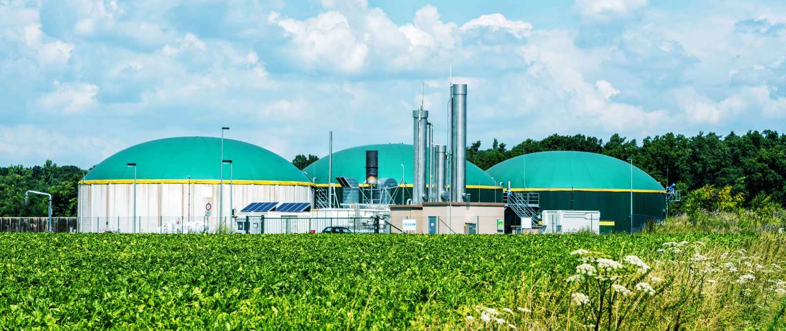 Versicherung Bioenergie: Die Gothaer bietet Ihnen Rundum-Schutz für Ihre Bioenergieanlage, aber auch für Biomassekraftwerke.