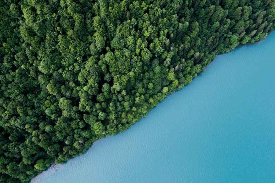 Wald und Wasser.