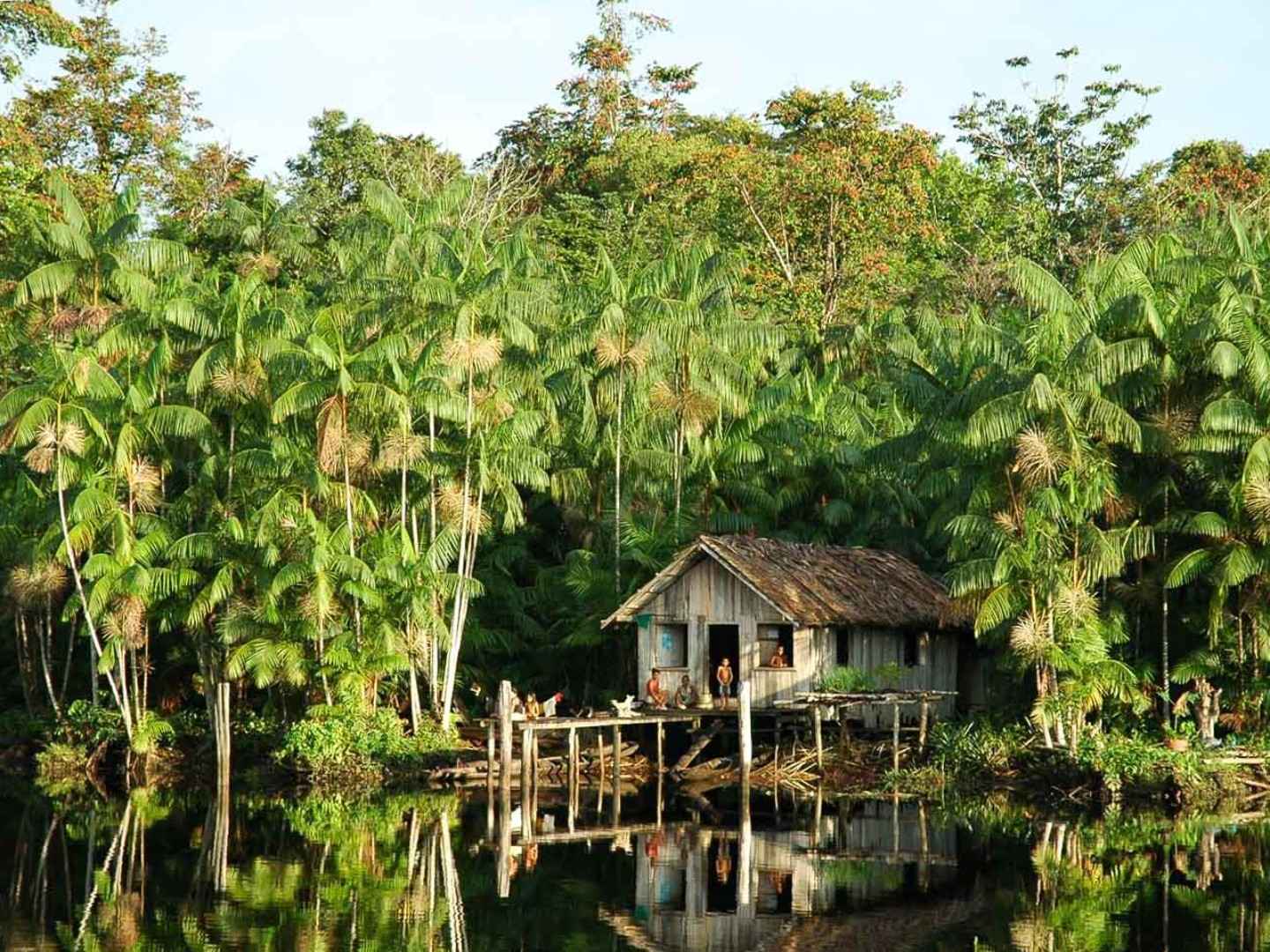 ClimatePartner: Waldschutz-Projekt in Pará, Brasilien