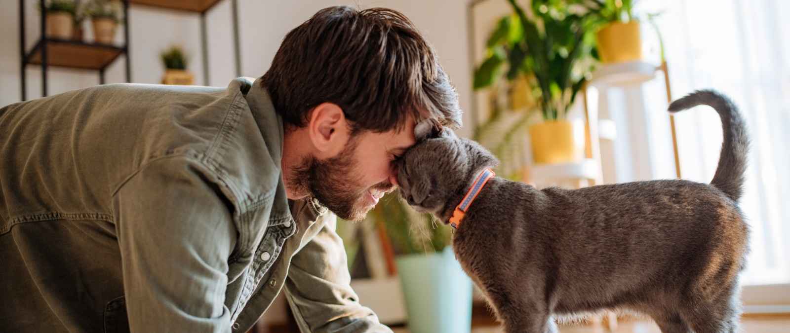 Gothaer Private Haftpflichtversicherung: Vor Haftpflichtschäden durch Ihre Katze optimal geschützt.