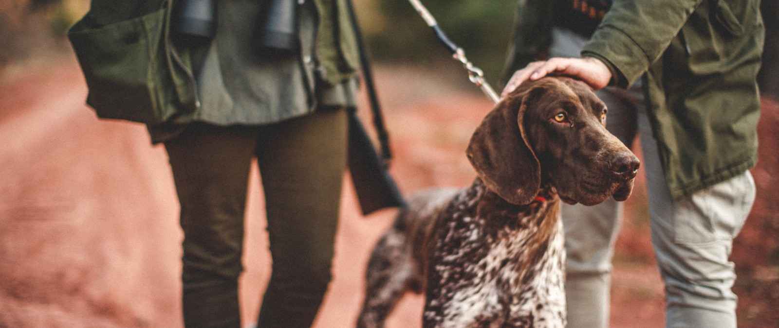 Gothaer Bewegungsjagd-Versicherung: Bewegungsjagd mit Jagdhunden
