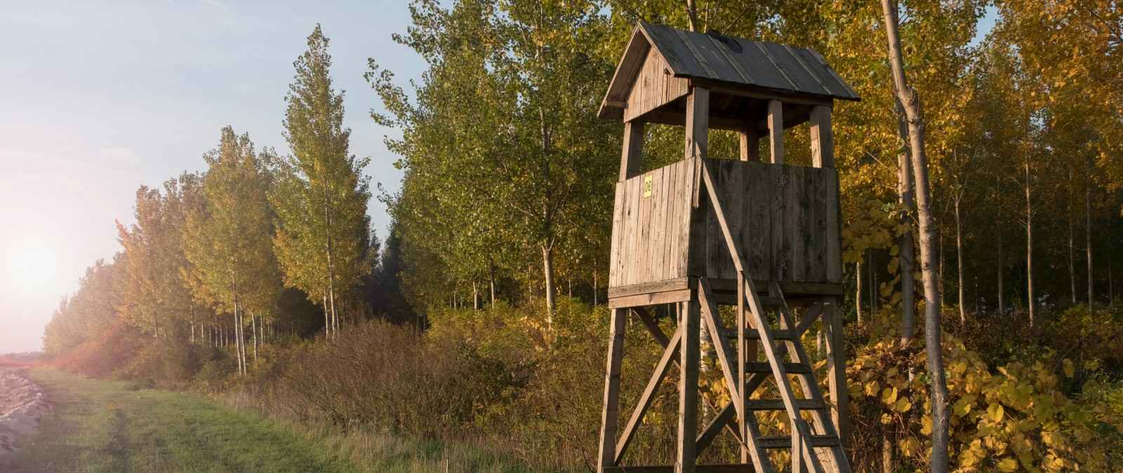 Gothaer Jäger-Schutzbrief: Jäger-Hochsitz im Wald