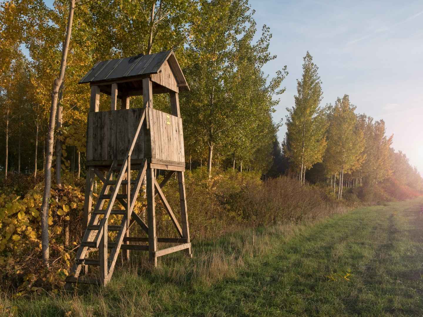 Gothaer Jäger-Schutzbrief: Jäger-Hochsitz im Wald