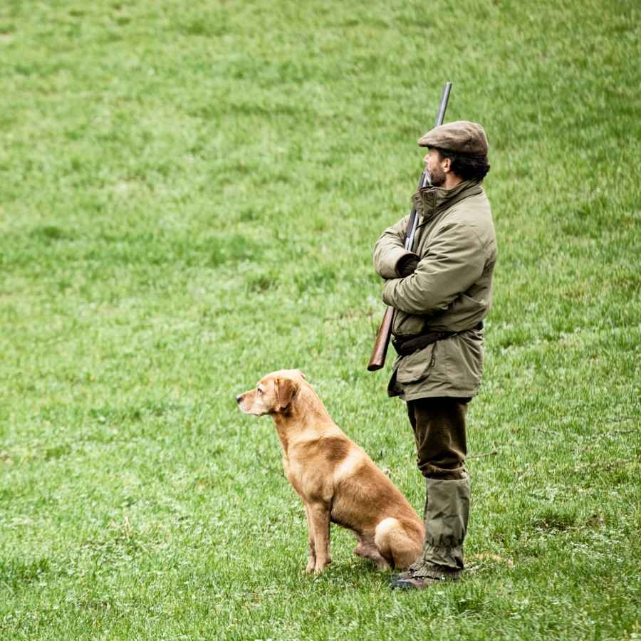 Jagdversicherung Ihr Mehrfacher Testsieger Gothaer