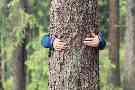 Gothaer Waldversicherung: Kind umarmt einen Baum.