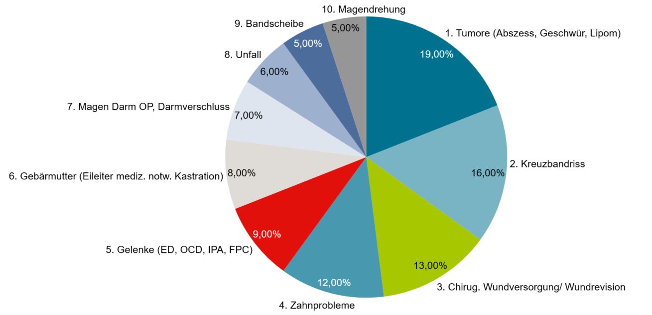 Die Top 10 der Hunde-OPs