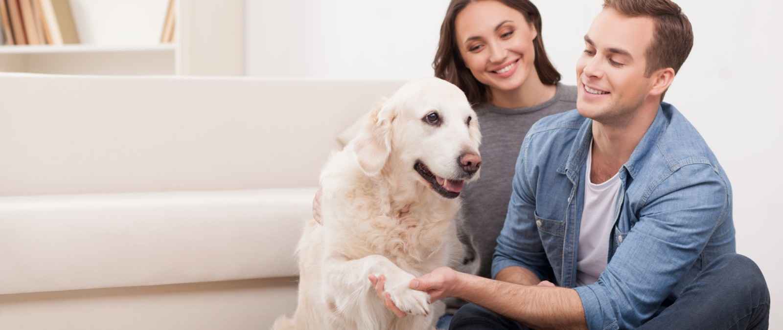 Gothaer Hundeversicherung: Paar mit Hund zu Hause.