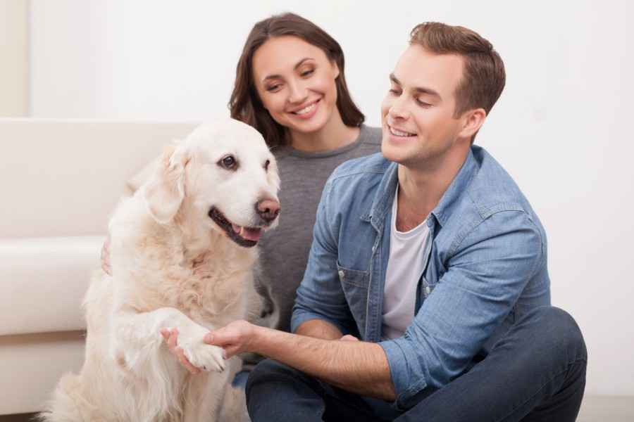Gothaer Hundeversicherung: Paar mit Hund zu Hause.