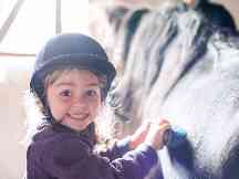Gothaer Pferdeversicherung: Kleines Mädchen striegelt mit großer Begeisterung ein Pferd.