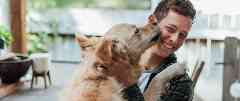 Tierhalterhaftpflicht: Ein junger Mann lacht, weil sein Hund ihm das Gesicht ableckt.