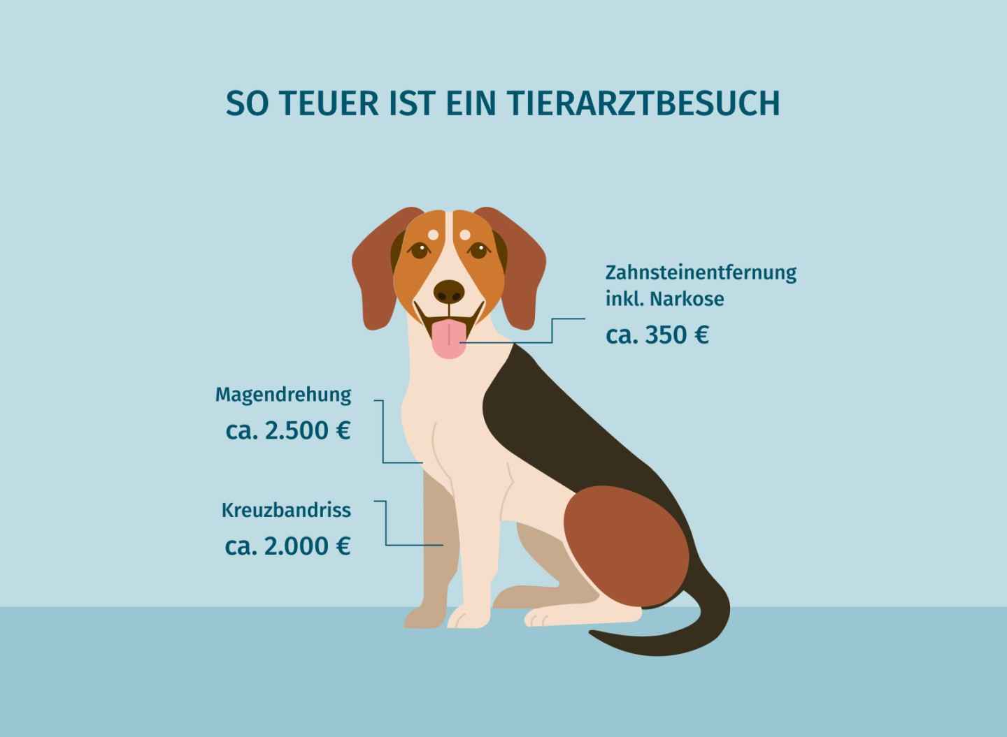 Die Infografik "So teuer ist ein Tierartzbesuch" zeigt einen Hund. Zudem werden Preise zu unterschiedlichen Hunde-OP-Arten gezeigt.