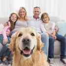 Ein Hund sitzt vor dem Sofa, auf dem seine Familie lächelnd nebeneinander sitzt.