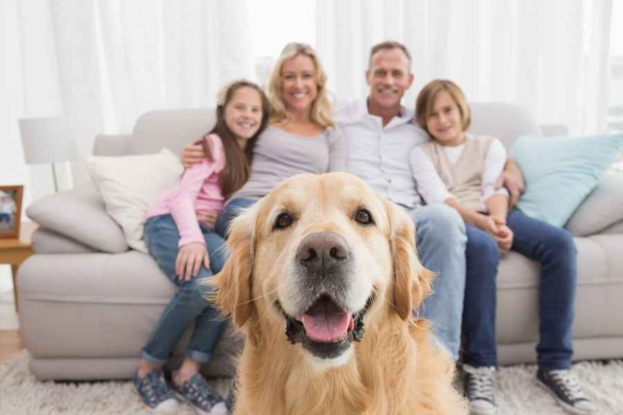 Ein Hund sitzt vor dem Sofa, auf dem seine Familie lächelnd nebeneinander sitzt.