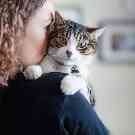 Gothaer Ratgeber: Eine Katze sitzt auf dem Arm einer Frau und schaut über die Schulter.