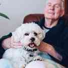 Gothaer Ratgeber: Wie alt werden Hunde? Ein alter Hund sitzt auf dem Schoß eines älteren Mannes.