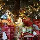 Päckchen unter dem Weihnachtsbaum: Weihnachtswünsche werden erfüllt.