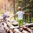 Kind balanciert im Wald über Baumstämme.