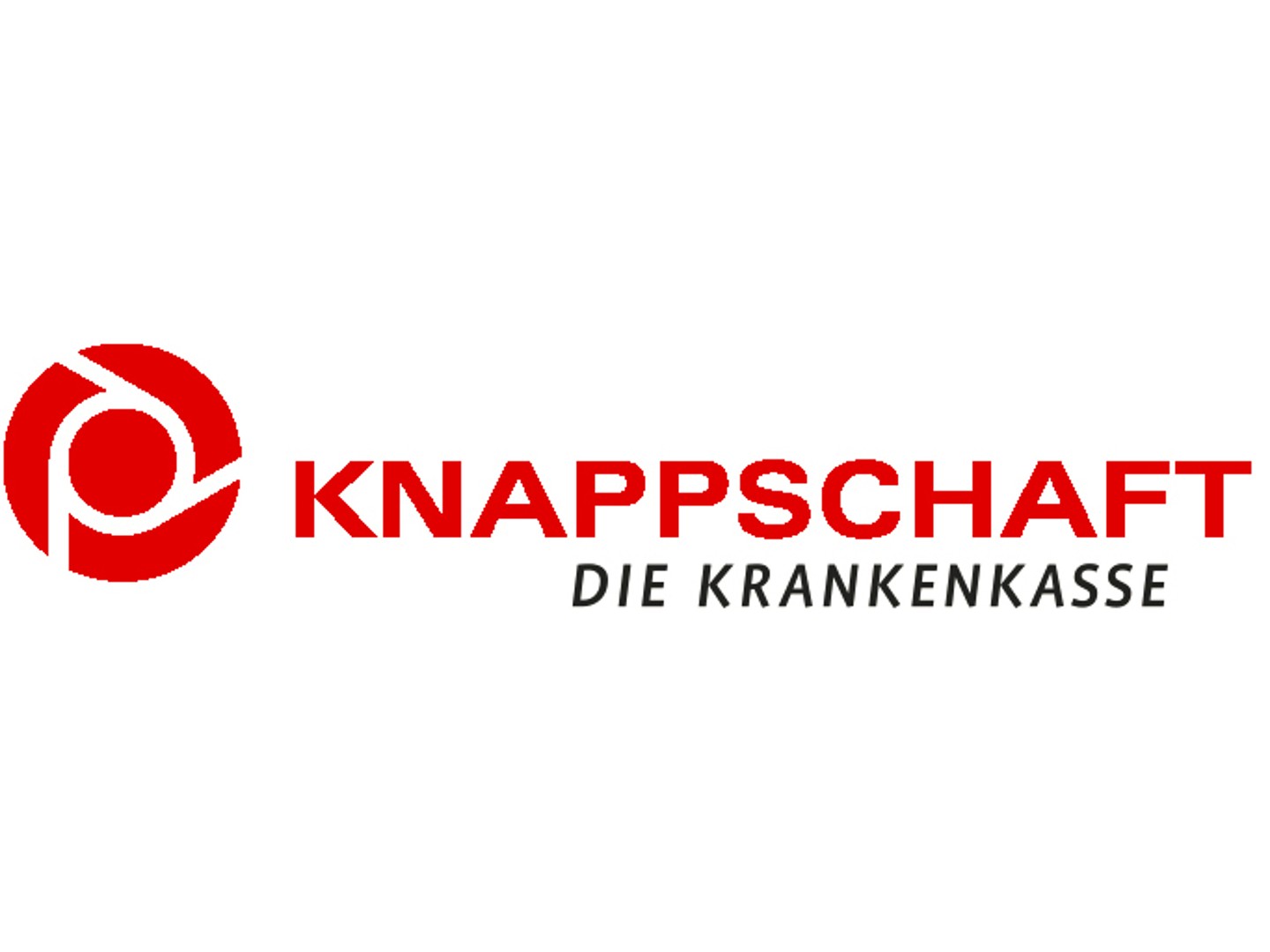 Logo des Kooperationspartners Knaapschaft