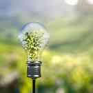 Nachhaltigkeit bei Betrieb und Beschaffung: Glühbirne mit Pflanze statt Birne in Landschaft.