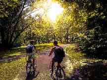 Zwei Fahrradfahrer fahren durch den Rheinaue Park in Bonn