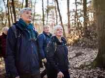 Rentner spazieren durch einen Wald in Bochum