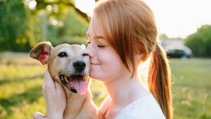 Hundehaftpflicht: Frau mit Hund ist froh über ihre gute Haftpflicht. Hundehaftpflicht: Frau mit Hund ist froh über ihre gute Haftpflicht.