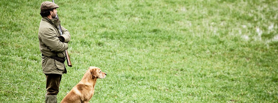Jagdversicherung: Dank der Gothaer Jagdhaftpflicht genießt der Jäger mit seinem Hund sorglos die Jagd. Jagdversicherung: Dank der Gothaer Jagdhaftpflicht genießt der Jäger mit seinem Hund sorglos die Jagd.