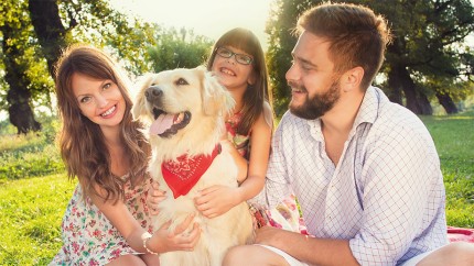 Mit der Tierkrankenversicherung der Gothaer sind Sie und Ihr Hund auf der sicheren Seite. Mit der Tierkrankenversicherung der Gothaer sind Sie und Ihr Hund auf der sicheren Seite.