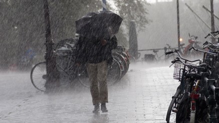 Herbststurm: Wenn man trotz Schirm nass wird Herbststurm: Wenn man trotz Schirm nass wird